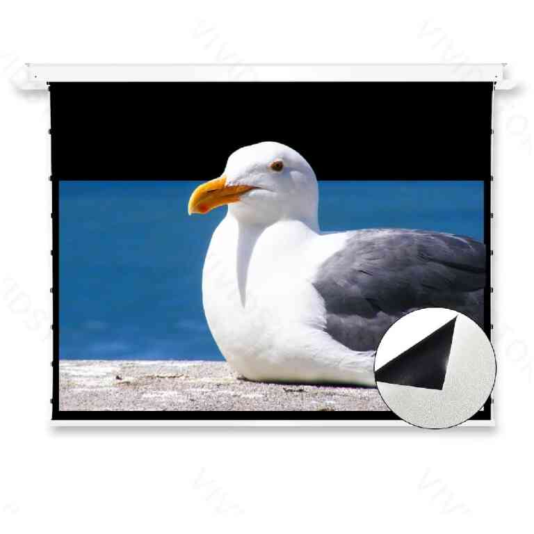 VIVIDSTORM VPCLW120H 120 inch Phantom Ceiling White Projector Screen