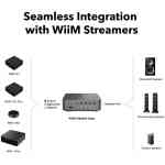 WiiM Vibelink 100W Power Amplifier with ESS DAC & TI Chipset