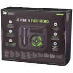Shure SM4-K Home Recording Microphone