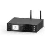 Arylic A100 100W x 2 Power amplifier with FM