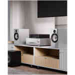 Arylic LP100 HiFi Music Streamer