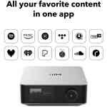 Wiim Amp Ultra Streaming Amplifier with Premium ESS ES9039Q2M DAC & Dual TI TPA3255 Amps - Silver