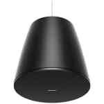 Bose DesignMax DM10P-SUB Pendant Subwoofer - Black
