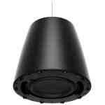 Bose DesignMax DM10P-SUB Pendant Subwoofer - Black