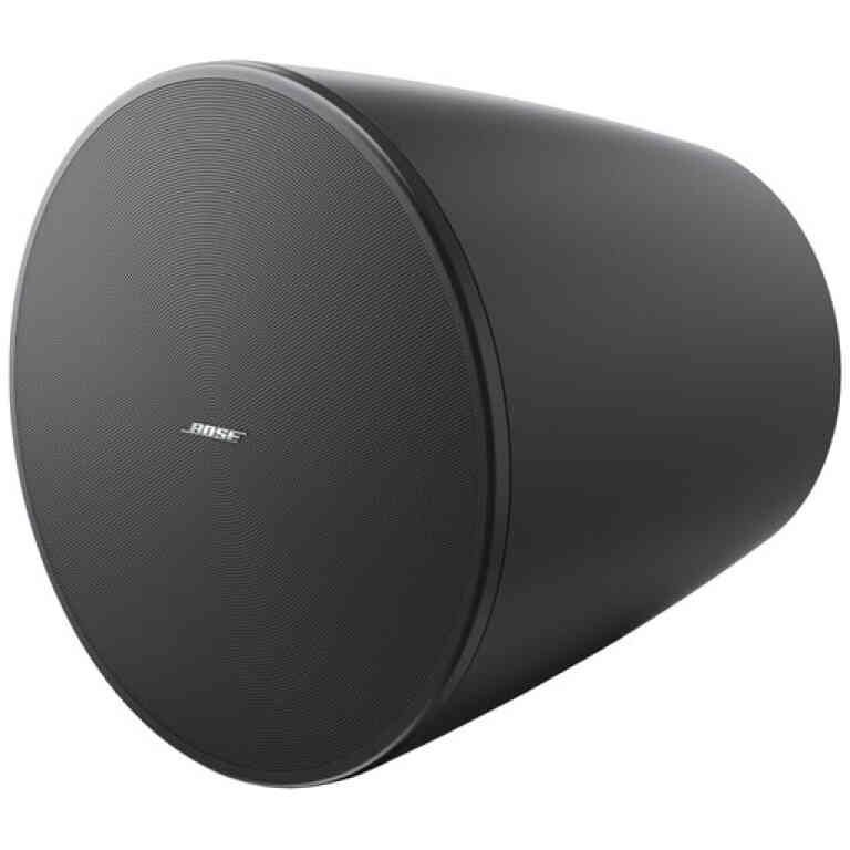 Bose DesignMax DM10P-SUB Pendant Subwoofer - Black