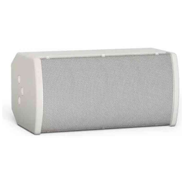 Bose ArenaMatch Utility AMU105 Outdoor Loudspeaker - White