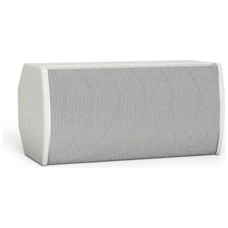 Bose ArenaMatch Utility AMU108 Outdoor Loudspeaker - Black