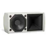 Bose ArenaMatch Utility AMU108 Outdoor Loudspeaker - Black