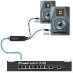 Audinate Dante AVIO 2-Channel XLR Analog Output Adapter