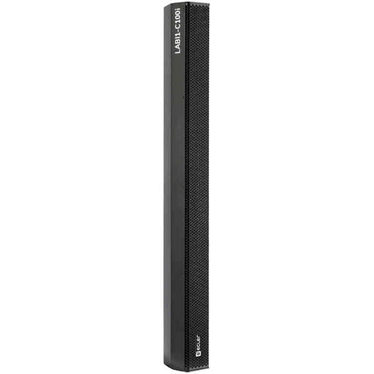 Ecler LABI1-C100i Column Speaker - Black
