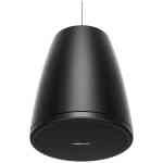 Bose DesignMax DM3P Pendant Loudspeaker Pair - Black