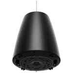 Bose DesignMax DM5P Pendant Speaker Pair - Black