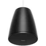 Bose DesignMax DM6PE Two-way Pendant Speaker Pair - Black