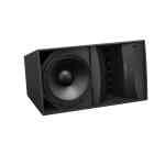 Bose ArenaMatch AM20/80 Outdoor Array Loudspeaker