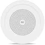 RCF DU 60EN Steel Wall and Ceiling Speaker
