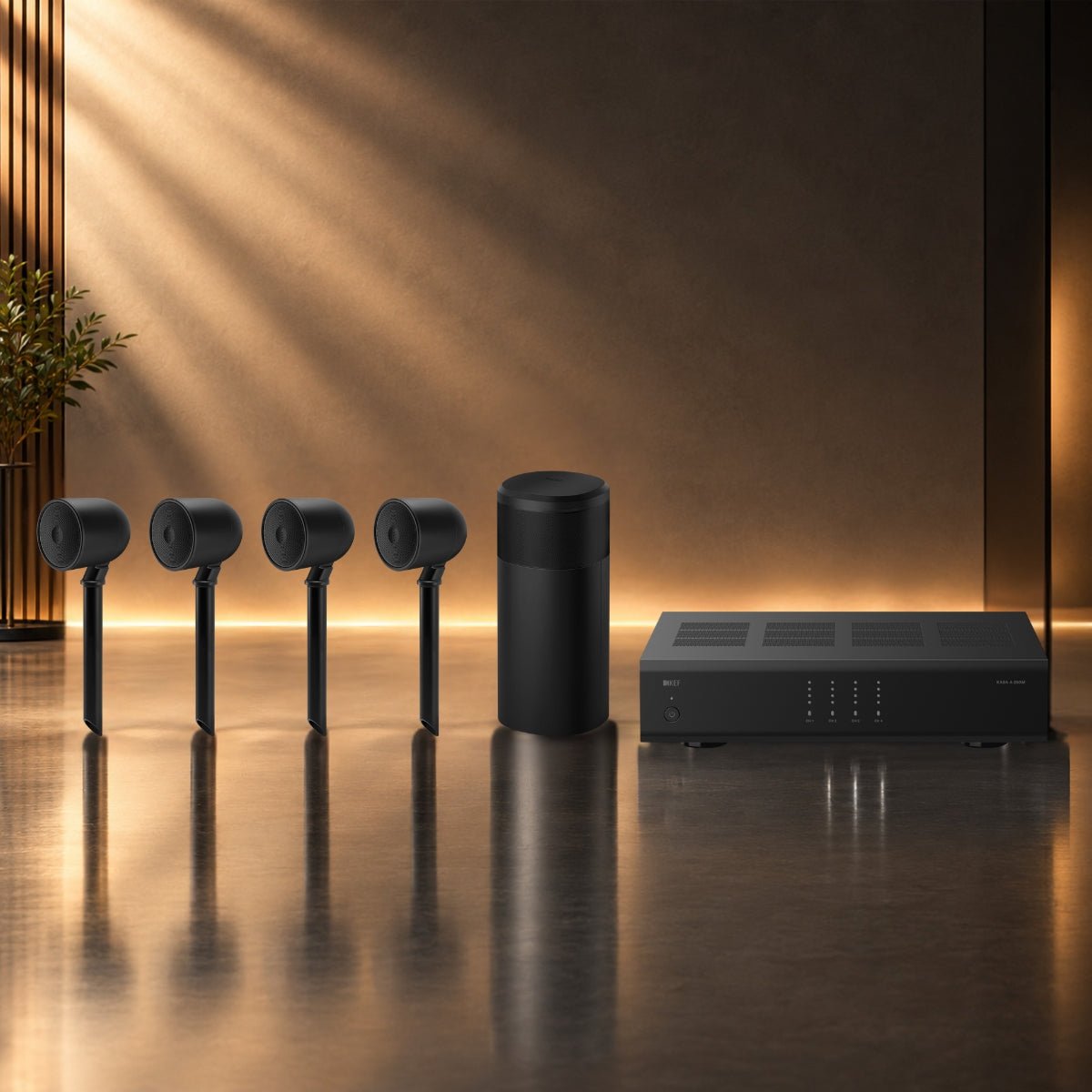 KEF Landscape P6Q Outdoor Speaker and Amplifier System